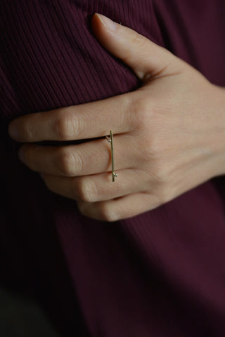 Ring Inbetween | Stijl icoon van goud met zilver